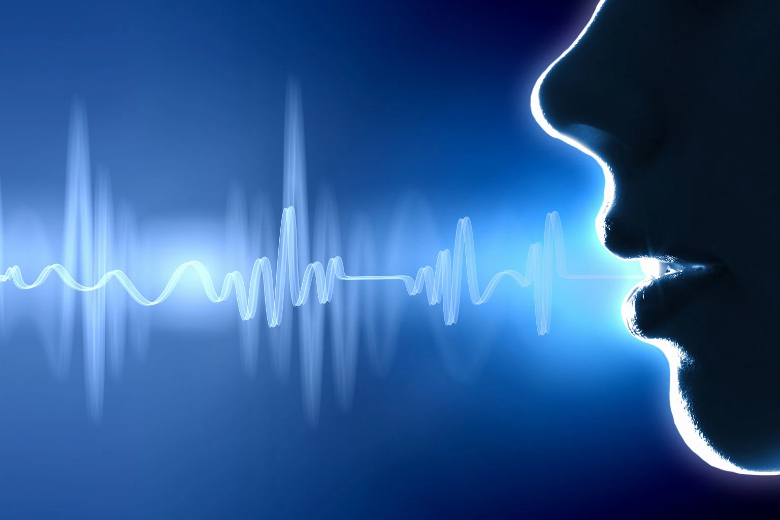 voice biometrics