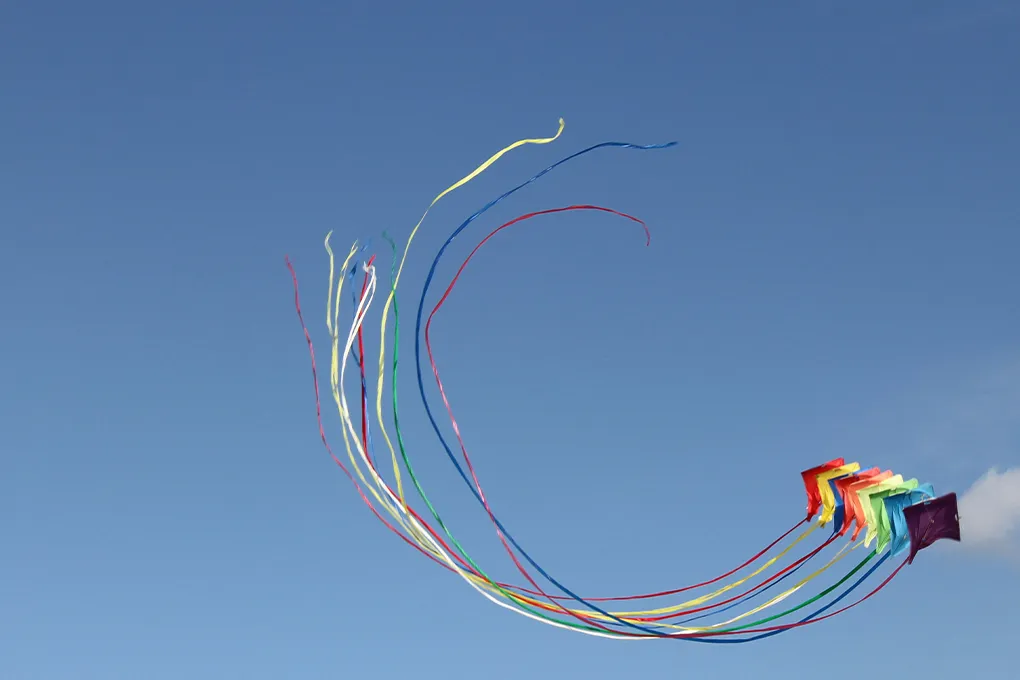 colorful kites flying in the air